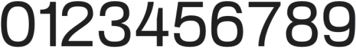 Enten Regular otf (400) Font OTHER CHARS