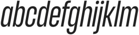 Entropia Regular Italic otf (400) FONT