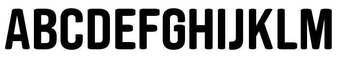 Berk Regular Font LOWERCASE