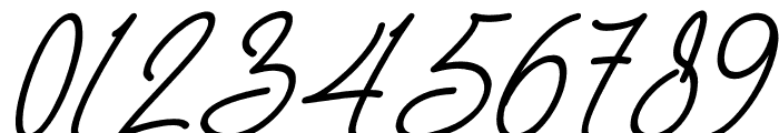 Birmingham Signature Italic Font OTHER CHARS
