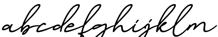 Birmingham Signature Italic Font LOWERCASE