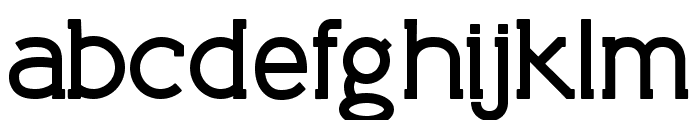 Chronograph Slab Font LOWERCASE