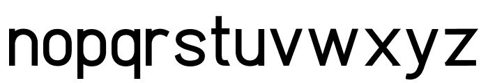 Clarity Nuvo Bold Font LOWERCASE