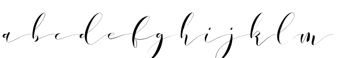 DonitaHandscript Font LOWERCASE
