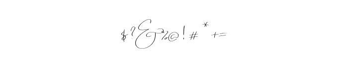 Emmylou Signature ExtraLight Font OTHER CHARS
