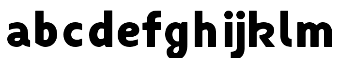 Fibon Neue Black Round Font LOWERCASE