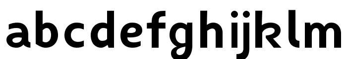 Fibon Neue Bold Font LOWERCASE