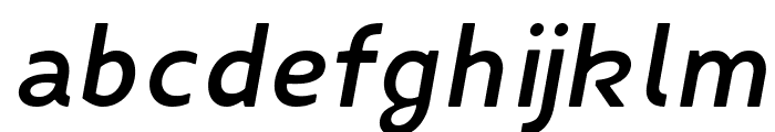 Fibon Neue SemBd Ita Round Font LOWERCASE