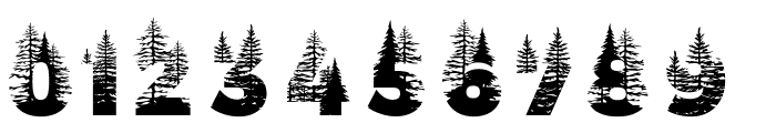 Forest 1 Regular Font OTHER CHARS