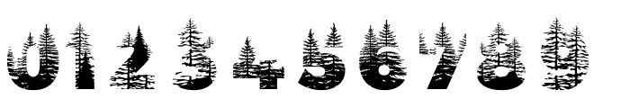 Forest 2 Regular Font OTHER CHARS