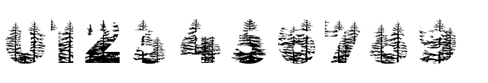Forest 3 Regular Font OTHER CHARS