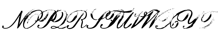 Hamilton Script SVG Regular Font UPPERCASE