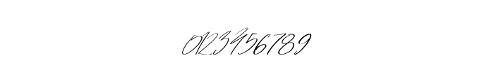 Hegomoni Signature Font OTHER CHARS