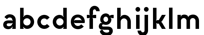 LiberText-TextRegular Font LOWERCASE