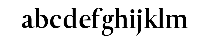 Living Serif Font LOWERCASE
