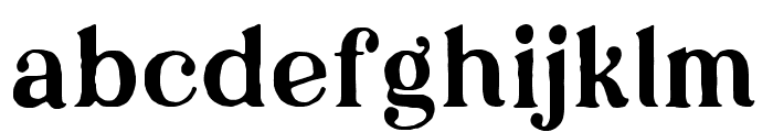 LouiseWalker-Serif Font LOWERCASE