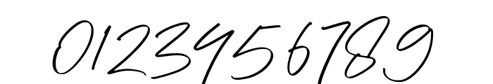 Madelion Signature Font OTHER CHARS