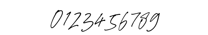 Purxious Signature Regular Font OTHER CHARS