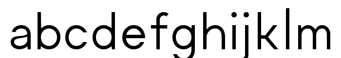 Regime Regular Font LOWERCASE