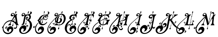 RenaissanceGarden-Italic Font UPPERCASE