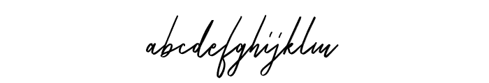 Serrona Script Font LOWERCASE