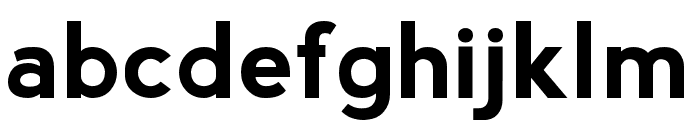 SigniaPro-Bold Font LOWERCASE