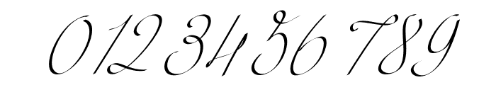 Sophia Jane Regular Italic Font OTHER CHARS