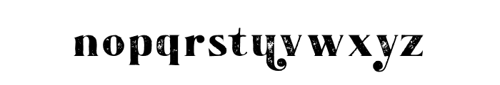 Stela Grunge Font LOWERCASE