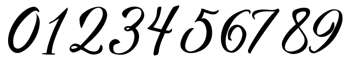 VanessaHandscriptRegular Font OTHER CHARS
