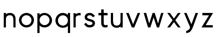 Visia Pro Bold Font LOWERCASE