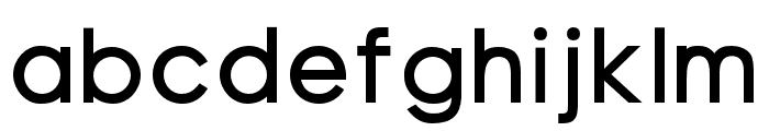 Visia Pro ExtraBold Font LOWERCASE