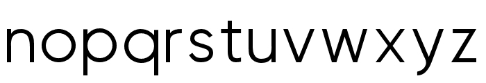 Visia Pro Regular Font LOWERCASE