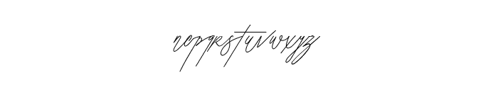 Walrus Typeface Font LOWERCASE