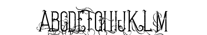 stella grunge Font UPPERCASE