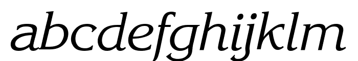 Enchanted Italic Font LOWERCASE