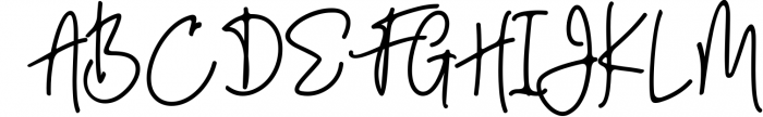 Enthusiast Behavior - Stylish Signature Font Font UPPERCASE