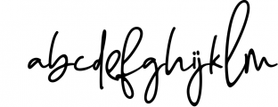 Enthusiast Behavior - Stylish Signature Font Font LOWERCASE