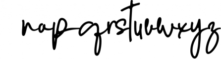 Enthusiast Behavior - Stylish Signature Font Font LOWERCASE
