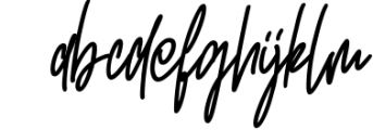 Entwisted Monoline Signature Script Font Font LOWERCASE