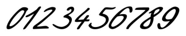 Enrico Handwriting Regular Font OTHER CHARS