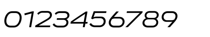 Endeavor Regular Expanded Oblique Font OTHER CHARS