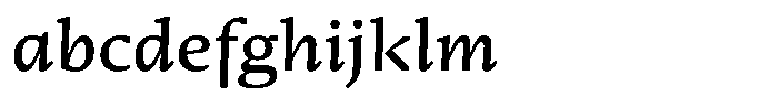 Ensaio Caption Medium Italic FONT