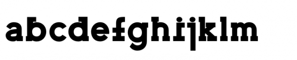 Enwicken Typeface Bold Font LOWERCASE