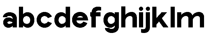 Epigraphy Expanded Black FONT