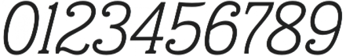 Eponymous Light Italic otf (300) Font OTHER CHARS