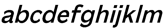 EPIBachGroteskV240823 BoldSlanted FONT