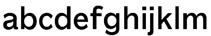 EPIBachGroteskV240823 Bold FONT