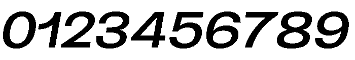 EPIStatikV230921 Semi ExtendedItalic Font OTHER CHARS