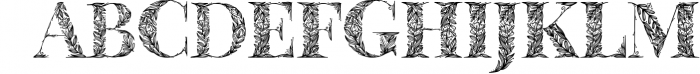 Eqo Monogram Font Font LOWERCASE