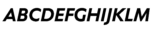 Equity Sans Bold Italic Font UPPERCASE